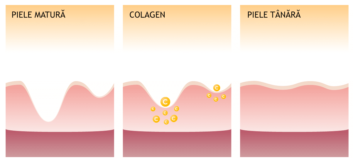 Ce-este-colagenul Ce este colagenul