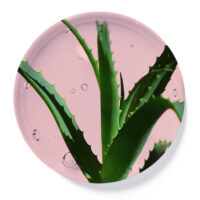 Aloe vera organica Aloe vera organica