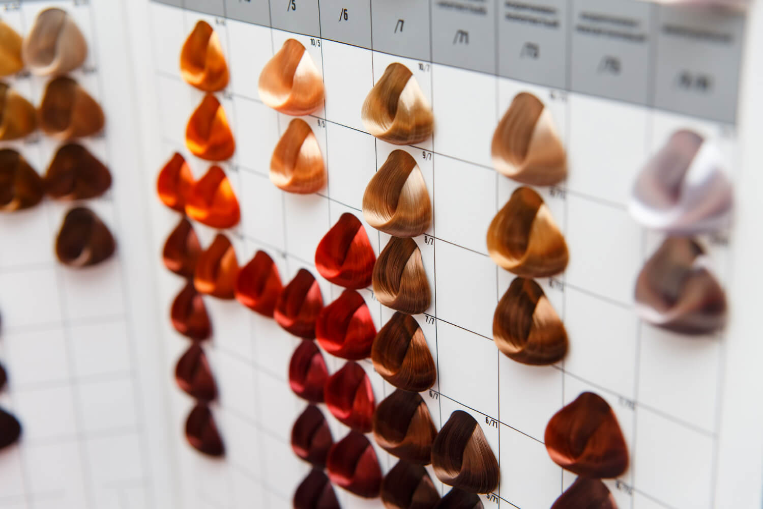 par vopsit par vopsit