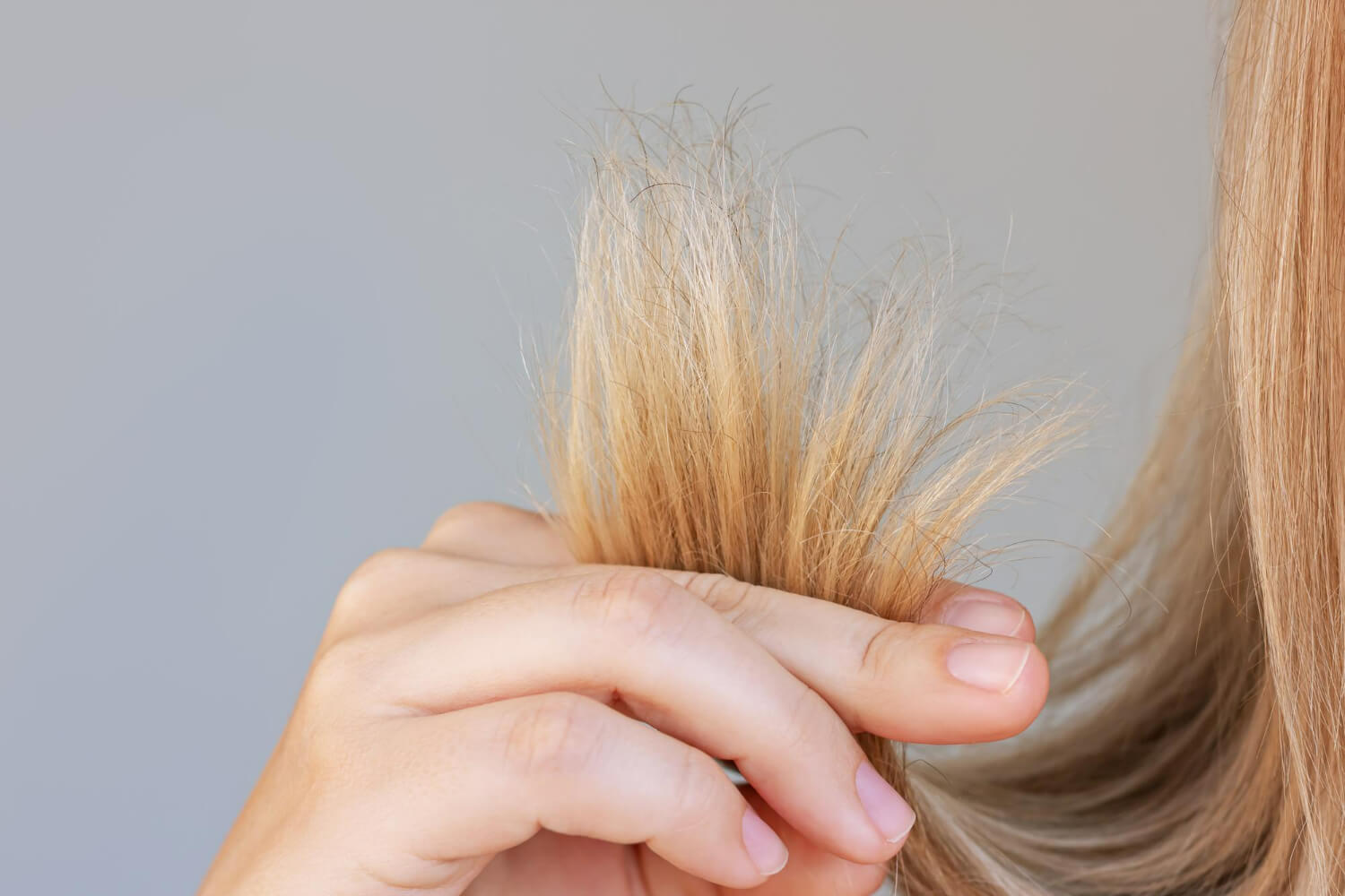 cauze varfuri despicate cauze varfuri despicate